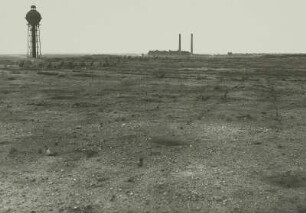 Kippenaufforstung Tagebau Erika. Senftenberger Revier, Blick gegen Brikettfabrik Laubusch