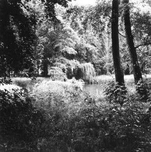 Drebkau-Raakow. Schloßpark mit Teich von Süden