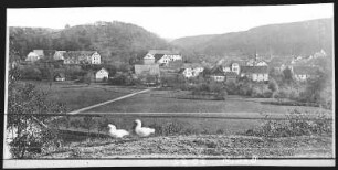 Schelesen. Totalansicht