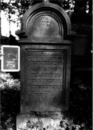 Grabstein 242 (Index: 100112126) Material: Sandstein Zustand: leicht verwittert Maße HxBxT: 130x58x26 cm Beschreibung: Stele, Sockel, eingezogener Rundbogenabschluß, rechteckiges Schriftfeld eingetieft: Grabstein 242