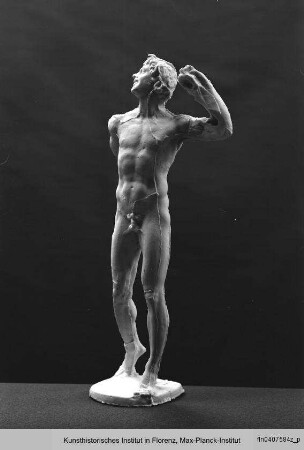 Satyr