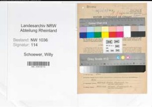 Entnazifizierung Willy Schoewer , geb. 10.09.1903 (Steiger)