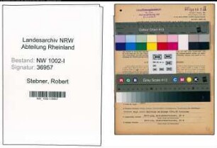 Entnazifizierung Robert Stebner, geb. 14.11.1896 (Ingenieur)