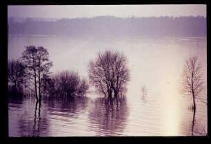 Havel 26.2.67.