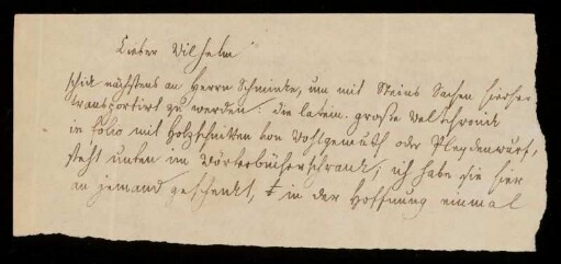 Brief von Jacob Grimm an Wilhelm Grimm