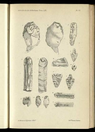 PL. III. [bis] PL. VIII.