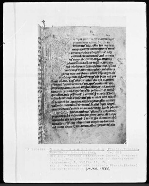 Hs. 655 & Weißer Ottobeurer Codex & Necrologium & Regula S. Benedicti & fol 2