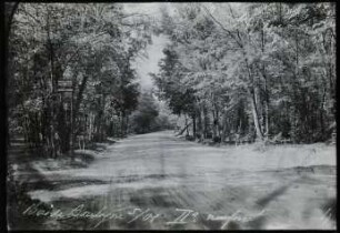 Paris, Bois de Boulogne