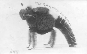 Faschingskatze. Flaschenbürsten, Wollbommel, Draht, Knöpfe (1926; E. Richter)
