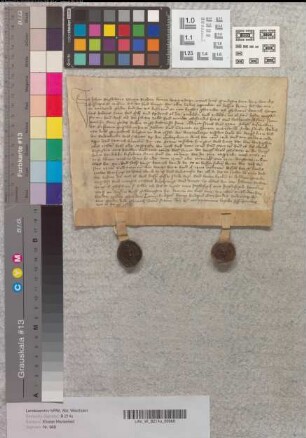 Derselbe bekundet, daß Heinrich Steynhus dem Kloster Marienfeld Land vor Warendorf gegeben habe. Zeugen: Temme und Hermann Hudepol, Everhard Zudendorp.
