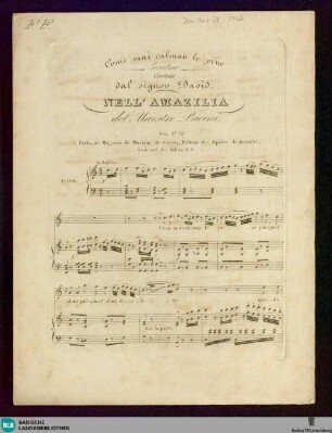 Come mai calmar le pene : Cavatina, cantata