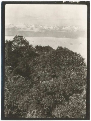 Nebelwald, Wolkenbank und Cordillera Quimsa Cruz