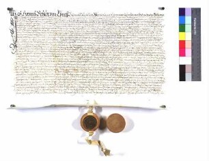 "Zinsverschreibung von Hans Betzler von Ebnett" (Altrep. S. 194)