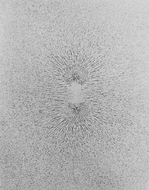Kraftlinien zweier ungleichnamiger Magnetpole, Leppin & Masche : Technikgeschichte | Physik | Magnetismus | Magnetismus und elektrische Kraftlinien