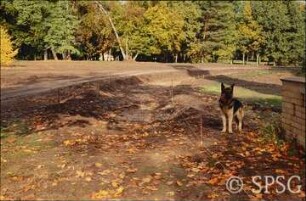 Potsdam, Park Sacrow, Absteckung des Uferwegs bei der Heilandskirche.