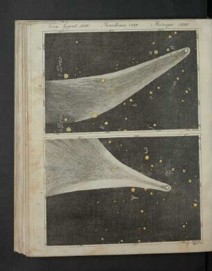 Tafel: Verm. Gegenst. CLXIV. [...]