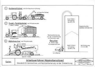 Arbeitsverfahren Maiskolbensilage I