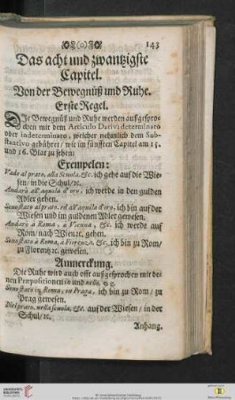 Das acht und zwantzigste Capitel