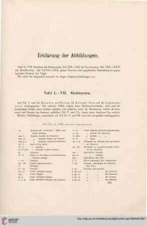 Erklärung der Abbildungen