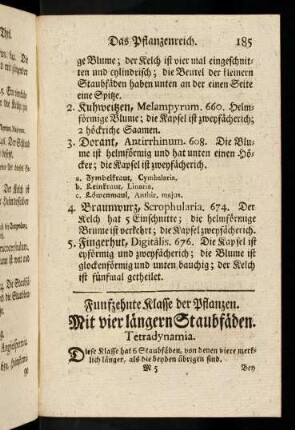 185-190, Mit vier längern Staubfäden