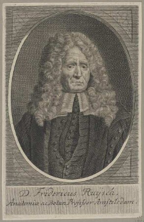 Bildnis des Fridericus Ruysch