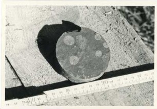 Dresden-Gittersee. Grubenfeld Gittersee. 2. Sohle. Aufhauen 3, Strecke 361. Bohrkern. Bleichungshöfe in roten Letten