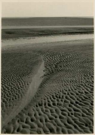 Landschaft im Wattenmeer