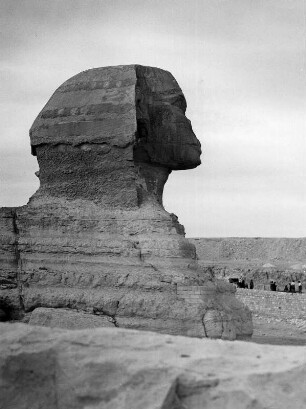 Sphinx der Chephrenpuramide : Reisefotos Ägypten. Gizeh. Sphinx der Chephrenpyramide