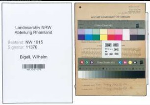 Entnazifizierung Wilhelm Bigell , geb. 14.12.1900 (Lokheizer)