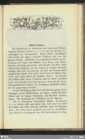 Blätter-Copien.