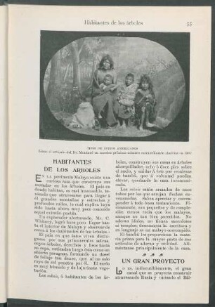 Habitantes de los árboles.