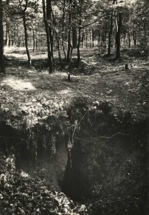 Freitaler Becken. Abrißspalte am Westabbruch der Windberghochfläche
