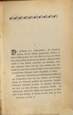 Ball-Elfe : Roman, 2. Band