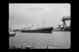 Belgrano (1953), Frachtschiff, HSDG, Hamburg, Bau-Nr. 435