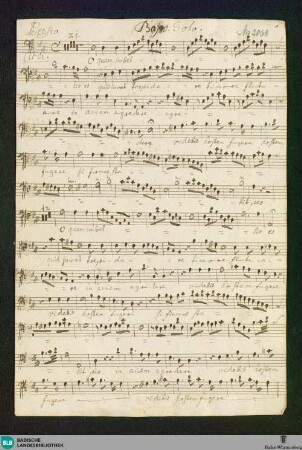 O quam imbellis es - Don Mus.Ms. 2068 : B, orch, bc; D; GotZ B36