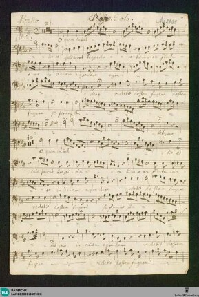 O quam imbellis es - Don Mus.Ms. 2068 : B, orch, bc; D; GotZ B36