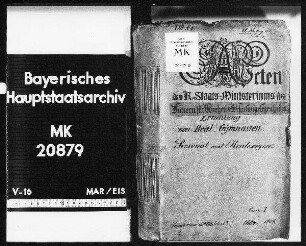 Errichtung von Realgymnasien. Personal- und Realexigenz.
