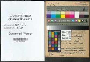 Entnazifizierung Werner Duennwald , geb. 17.03.1902 (Stellmacher)