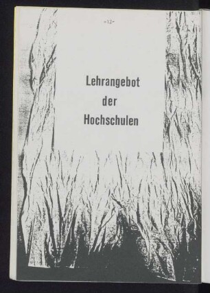Lehrangebot der Hochschulen