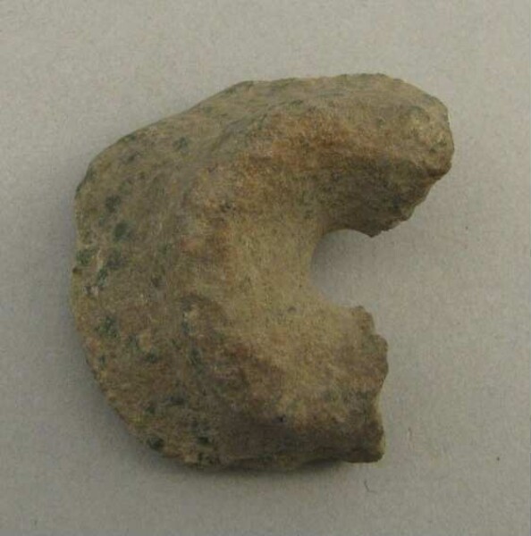 Fragment of an ear peg