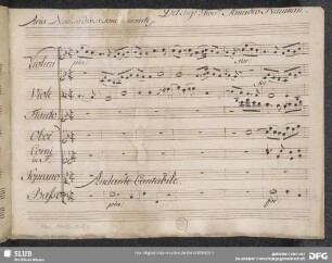Endimione? Excerpts - Mus.3480-J-8,4 : S, orch, b