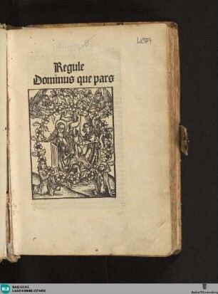 Regula Dominus quae pars