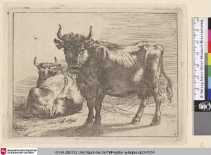 [Stehende Kuh dem Betrachter zugewandt, dahinter eine abgewandte liegende Kuh; A Cow Standing and Another Lying Down]