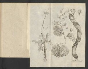 Fig. 92. - Fig. 93.