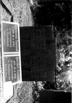 Grabstein 75 (Index: 100110309) Material: Granit Zustand: gut Maße HxBxT: 94x112x13 cm Beschreibung: rechteckige Stele mit eingezogener rechteckigen Erhöhung, Sockel, zwei rechteckige Schriftfelder, querrechteckige Schriftplatte an Sockel gelehnt, rechteckige liegende Schriftplatte Besonderheit: Doppelgrab mit Gedenkplatten: Grabstein 75