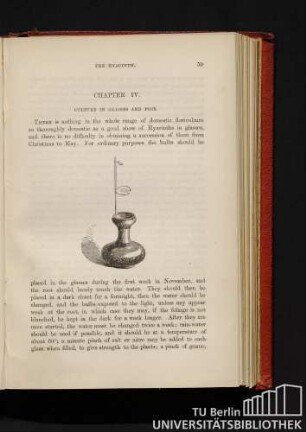Chapter IV. Culture in glasses and pots.