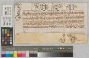 Papst Innozenz XI. teilt dem Domkapitel zu Paderborn die Bestätigung Hermann Werners Bischof von Paderborn mit. USS