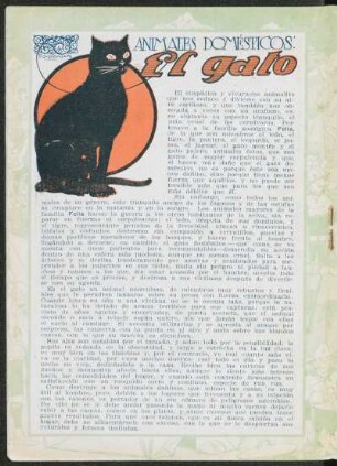 Animales domésticos: El gato