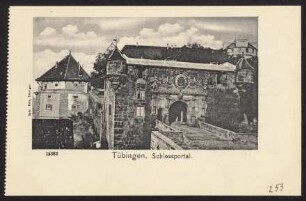 253, Tübingen, Schlossportal.