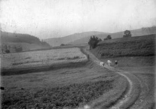 Auf dem Heimweg